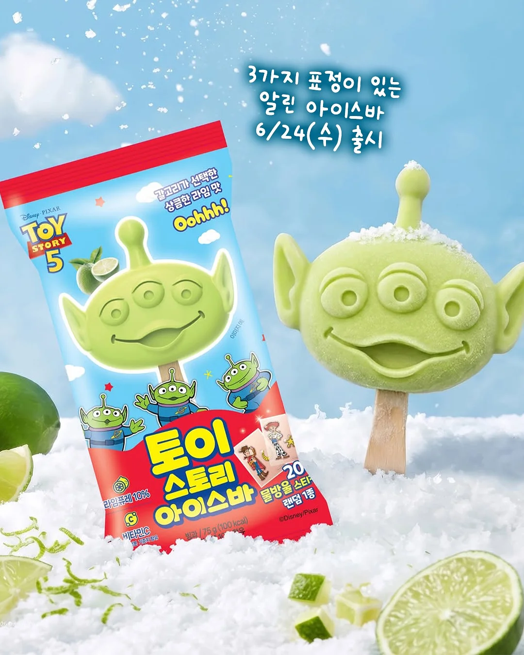 뉴미니누빔가방 2