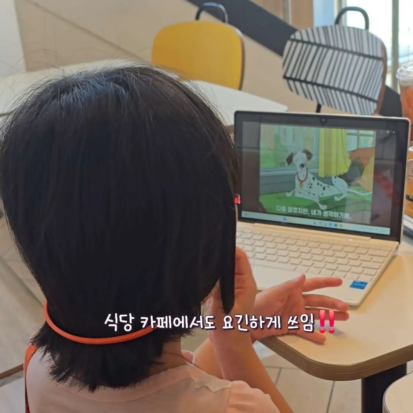 유기농 찐비트 10