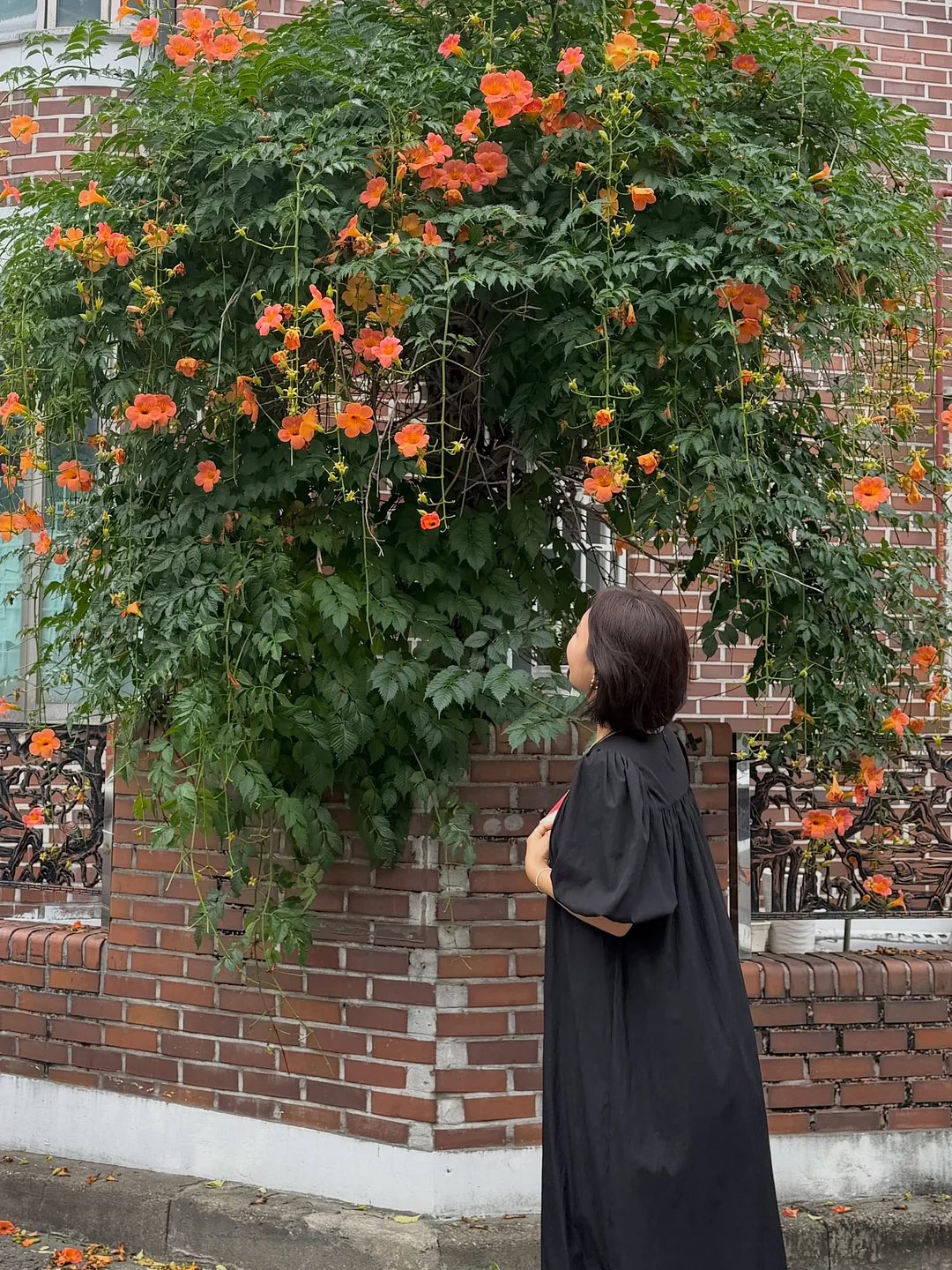 오디유 유산균 4