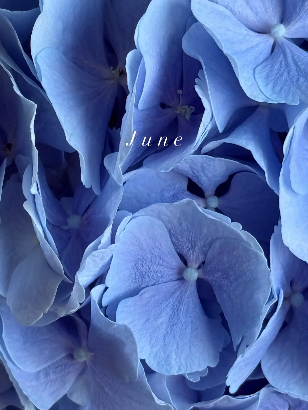 파일꽂이 4