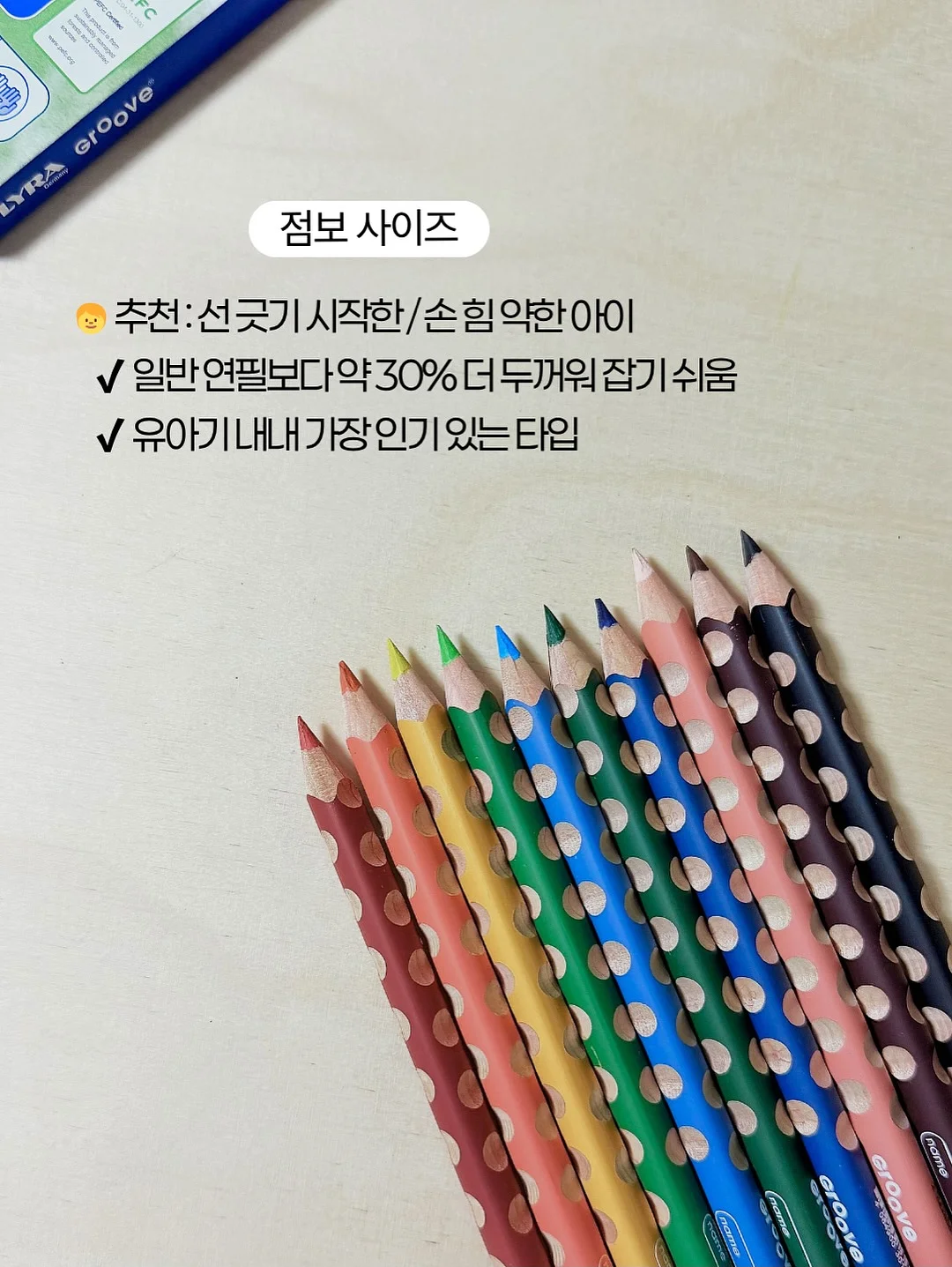 스텔링플라워 서양난 화분 3