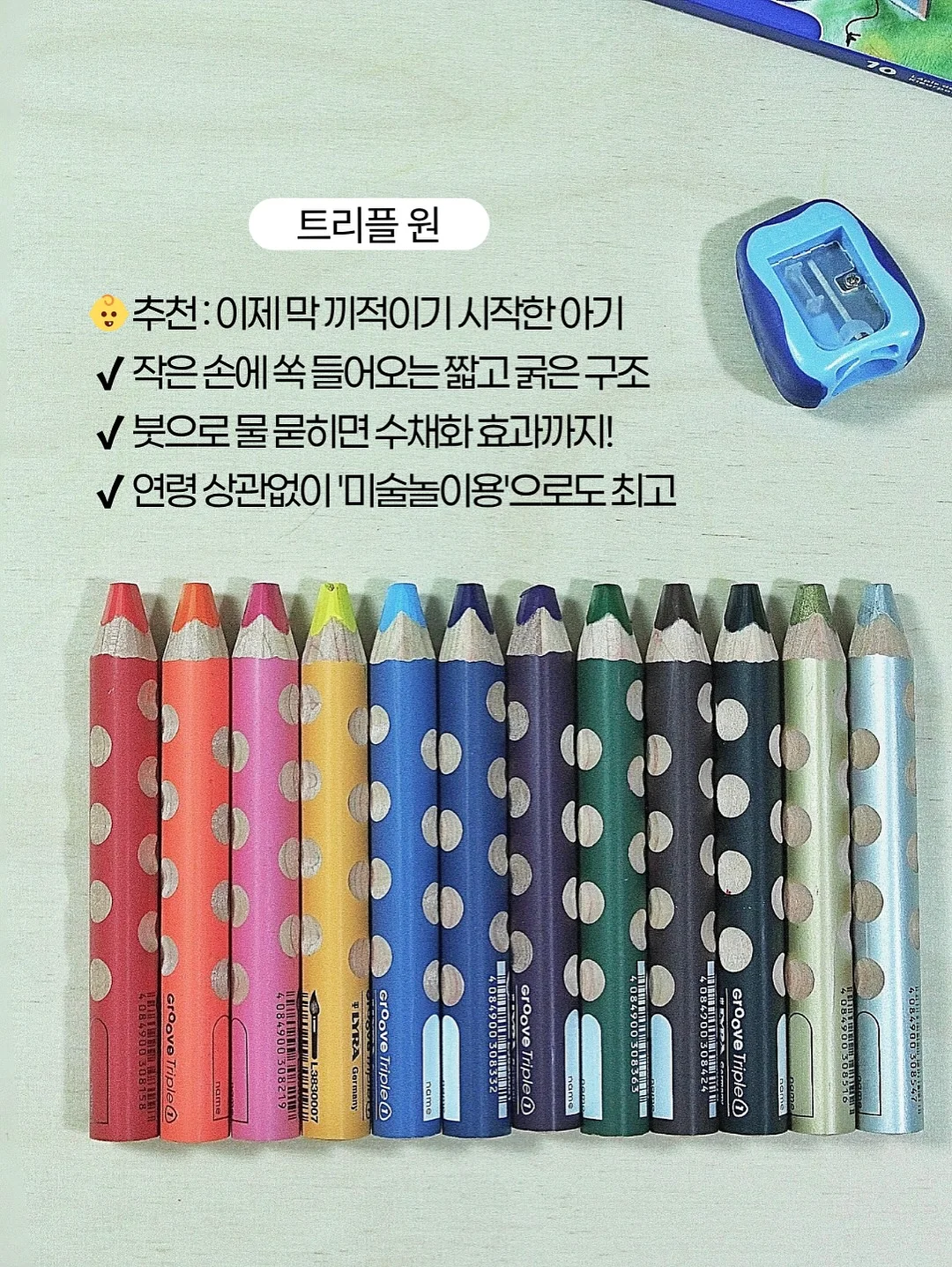 스텔링플라워 서양난 화분 4