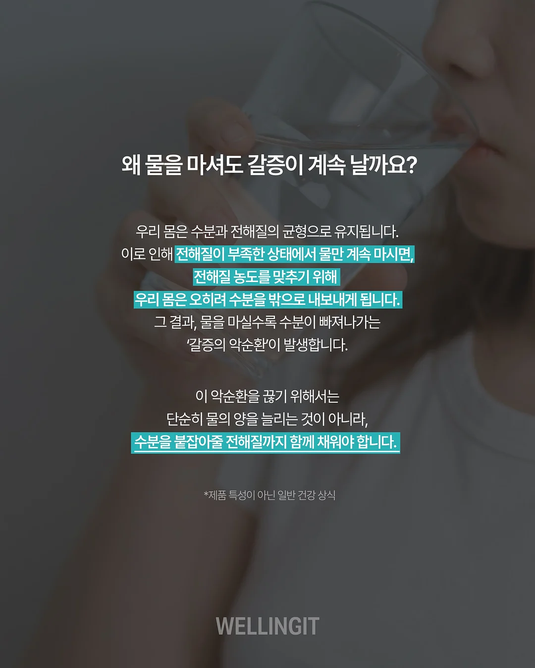 프락토올리고당 고구마 3