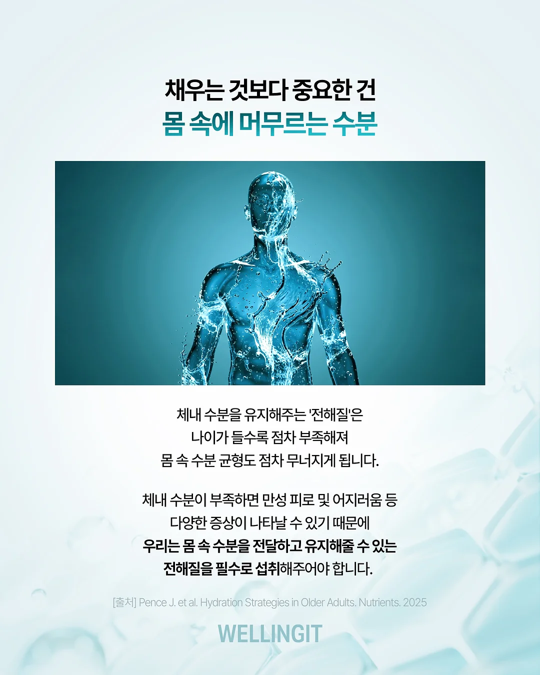 프락토올리고당 고구마 4