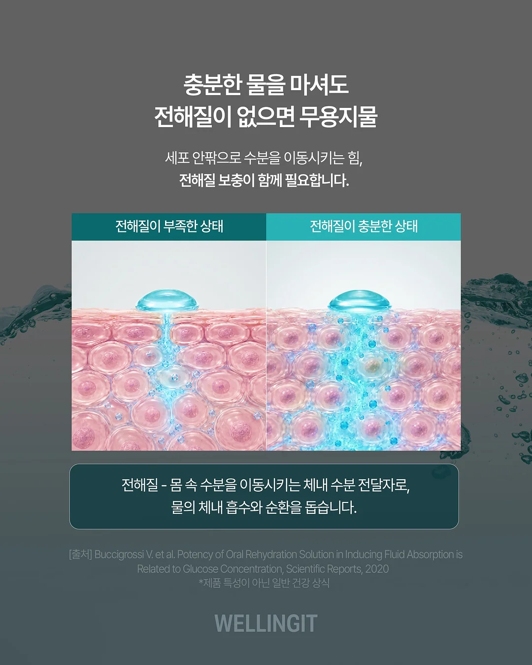 프락토올리고당 고구마 5