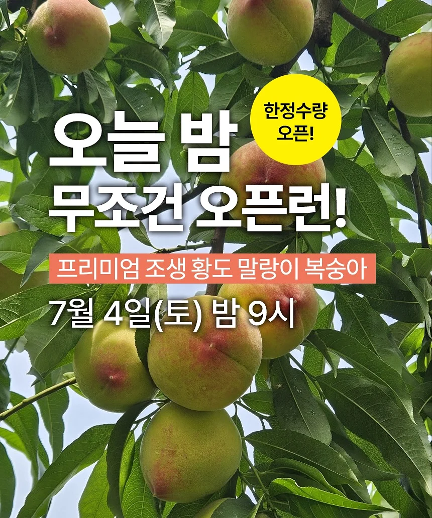 어묵볶음 레시피 1