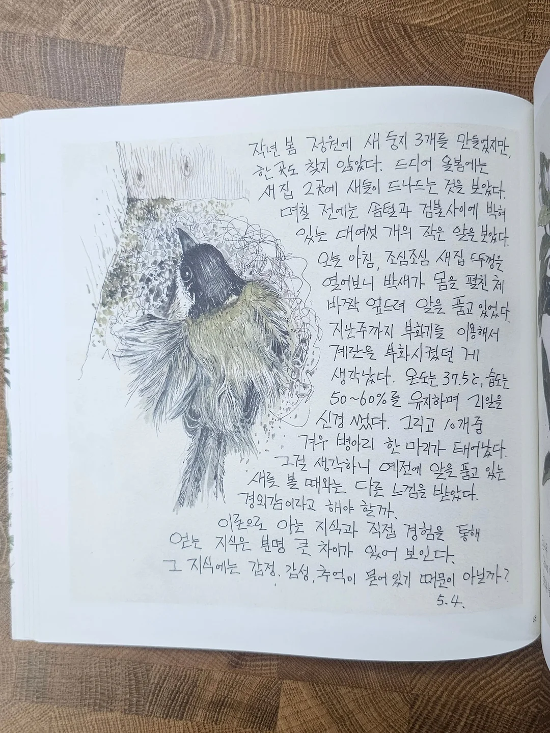 떡과 한과 선물 세트 4