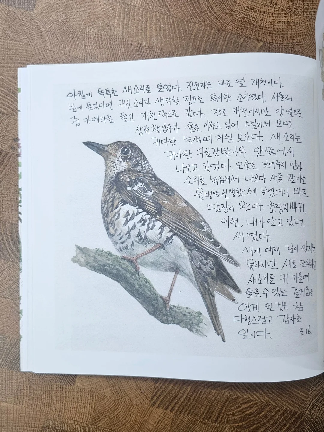 떡과 한과 선물 세트 8