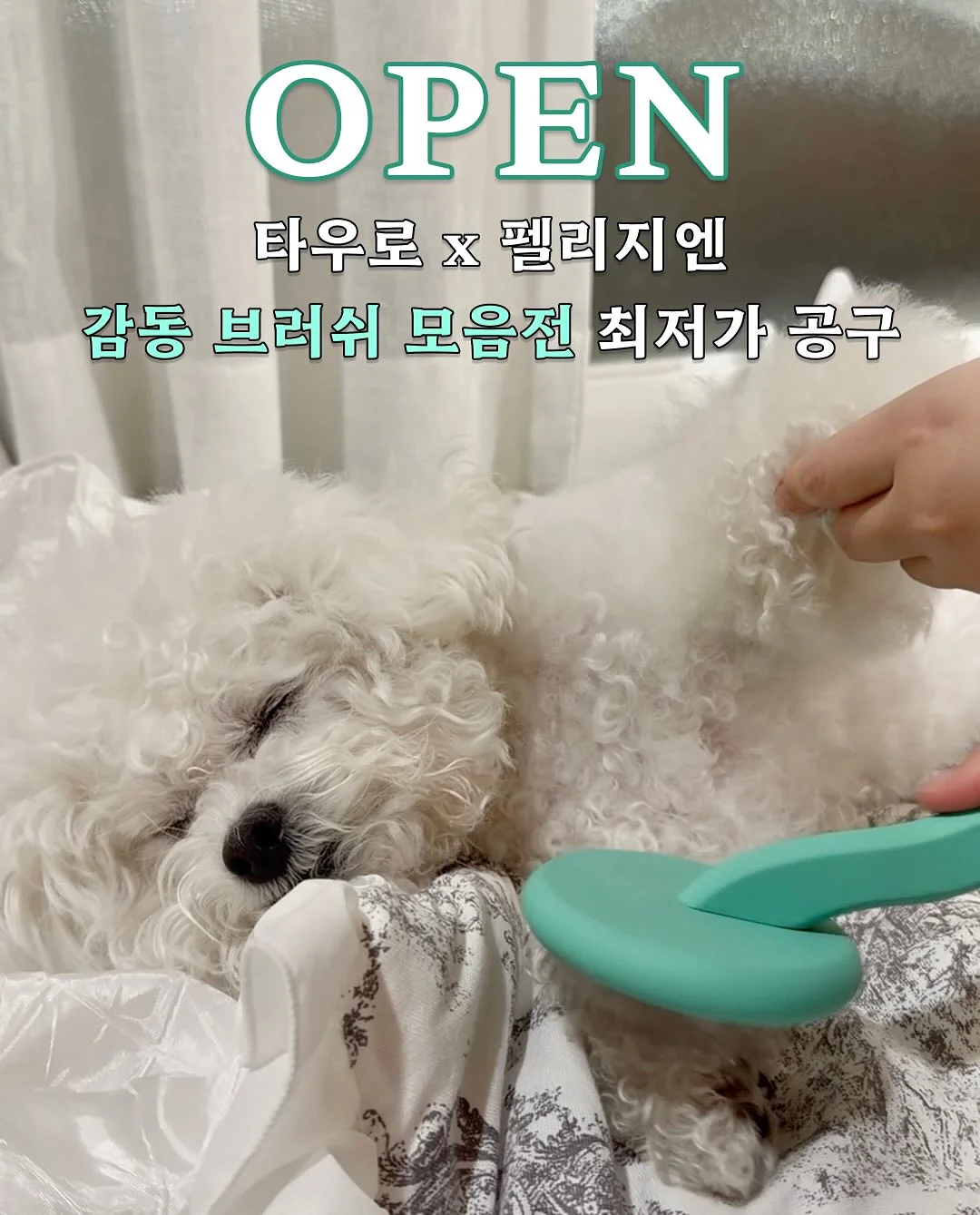 재입고 상품 1