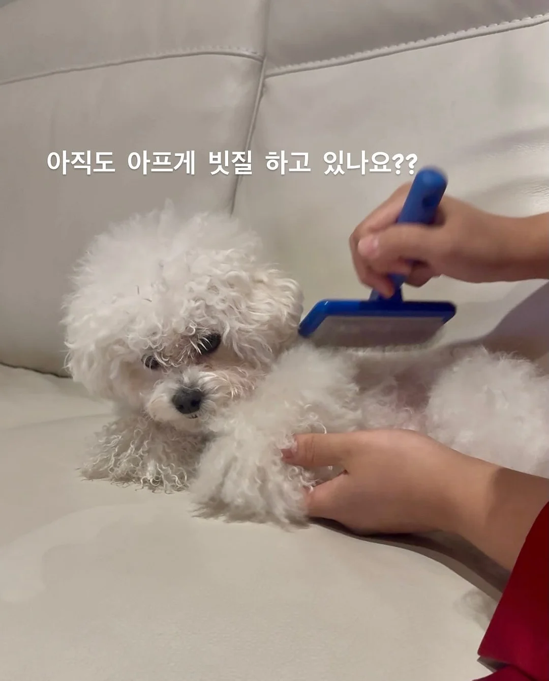 재입고 상품 2