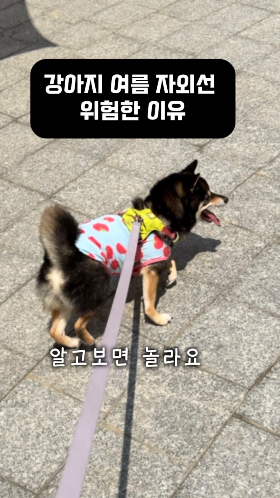 카드지갑