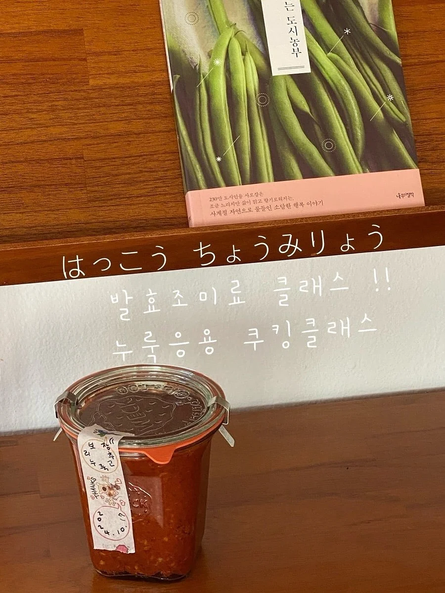 바람막이 5