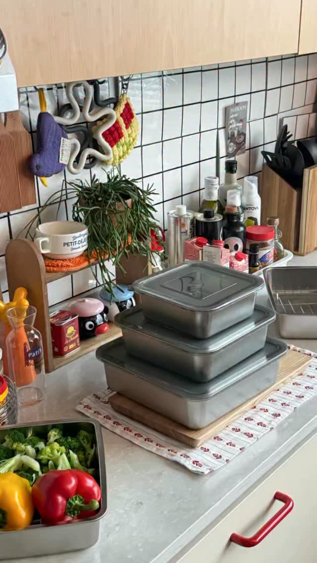 벅시 동결건조