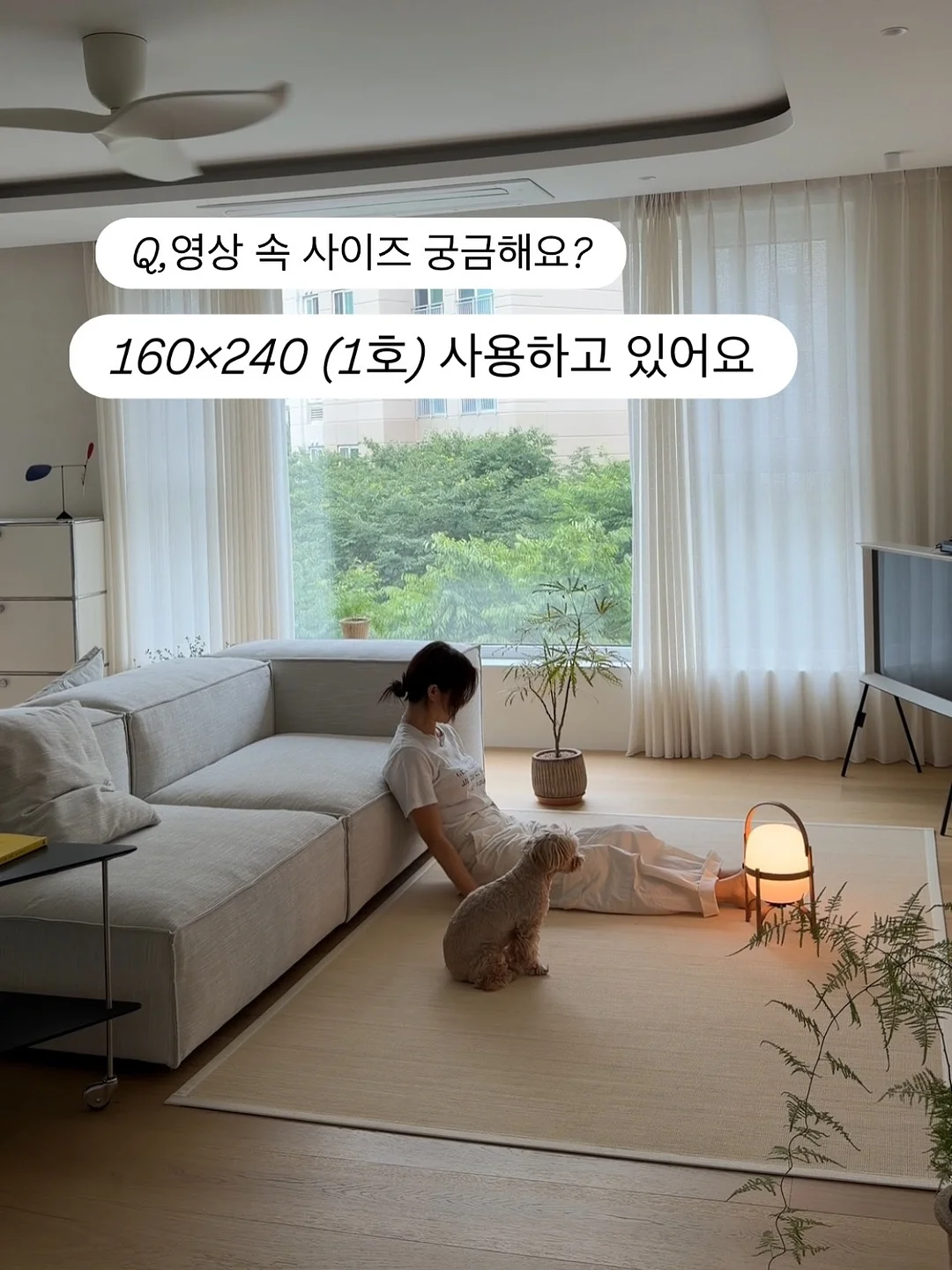 마테우시 우르바노비치 <환상 상점> 8