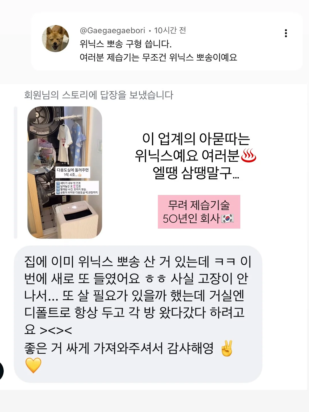 세멘잘 프로모션 12