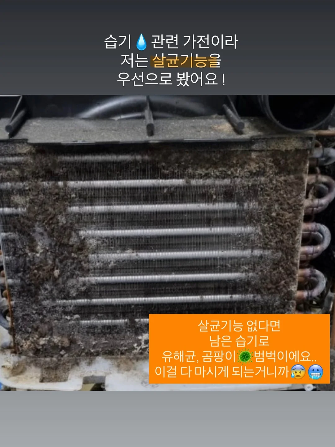 세멘잘 프로모션 13