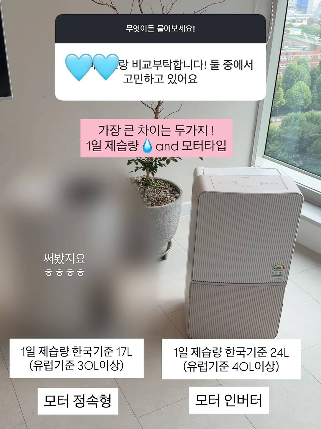 세멘잘 프로모션 18