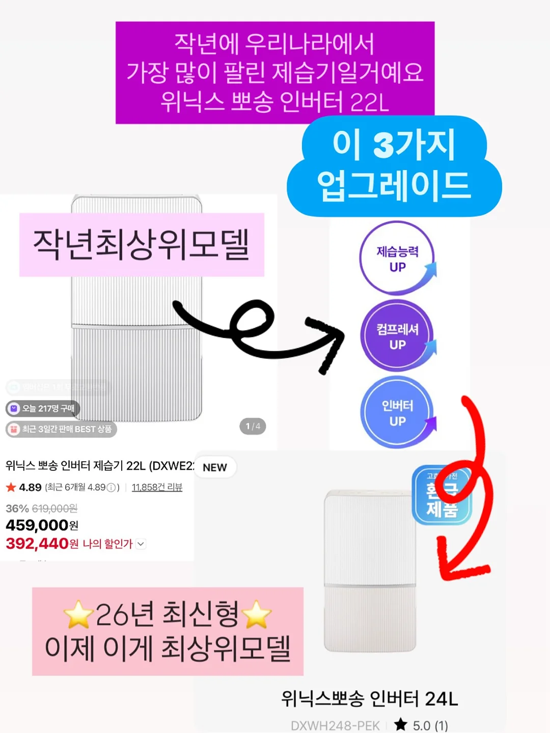세멘잘 프로모션 20