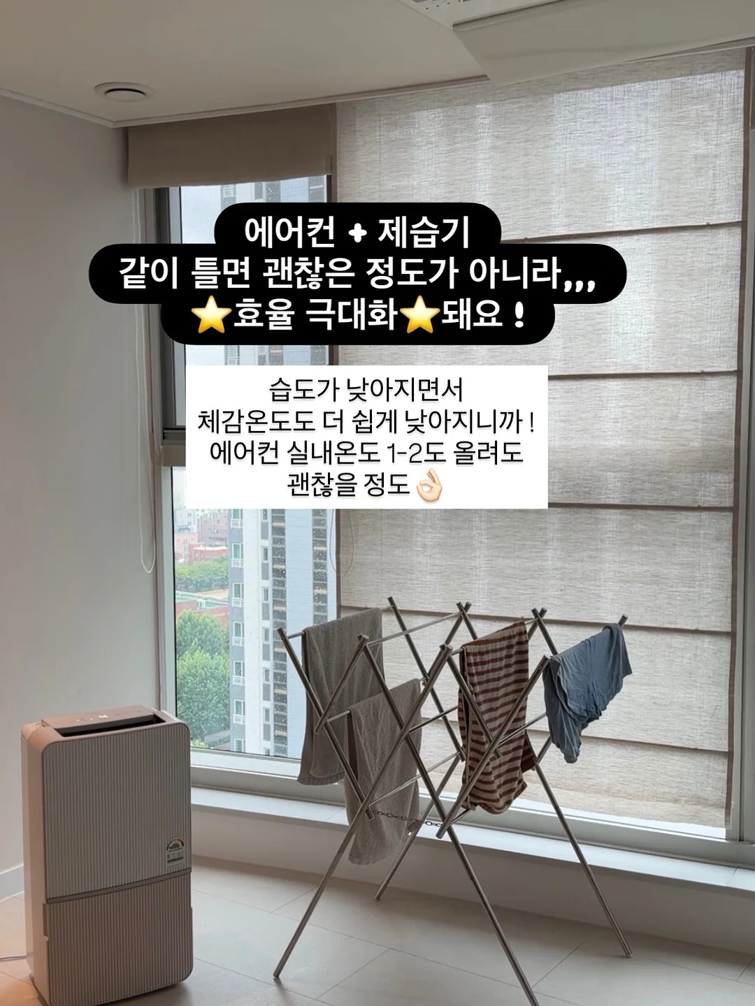 세멘잘 프로모션 3