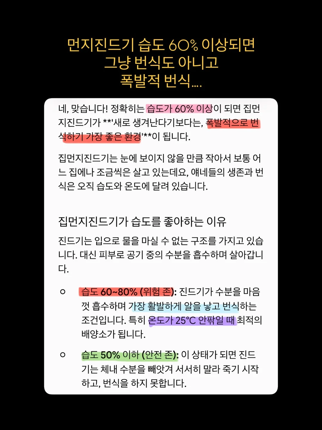 세멘잘 프로모션 5