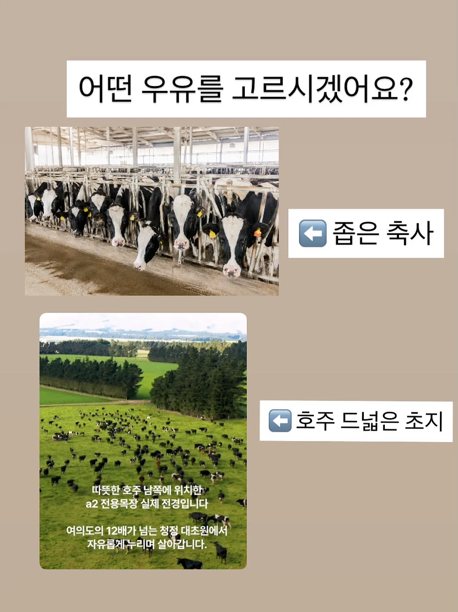 뉴트리엘 이너포뮬러 샐그린27 2