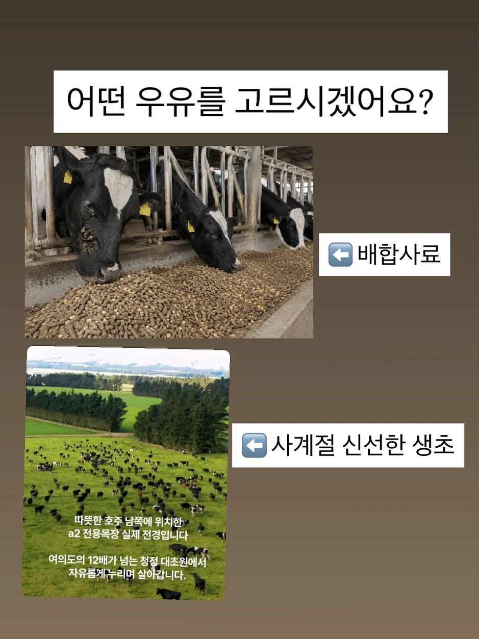 뉴트리엘 이너포뮬러 샐그린27 3