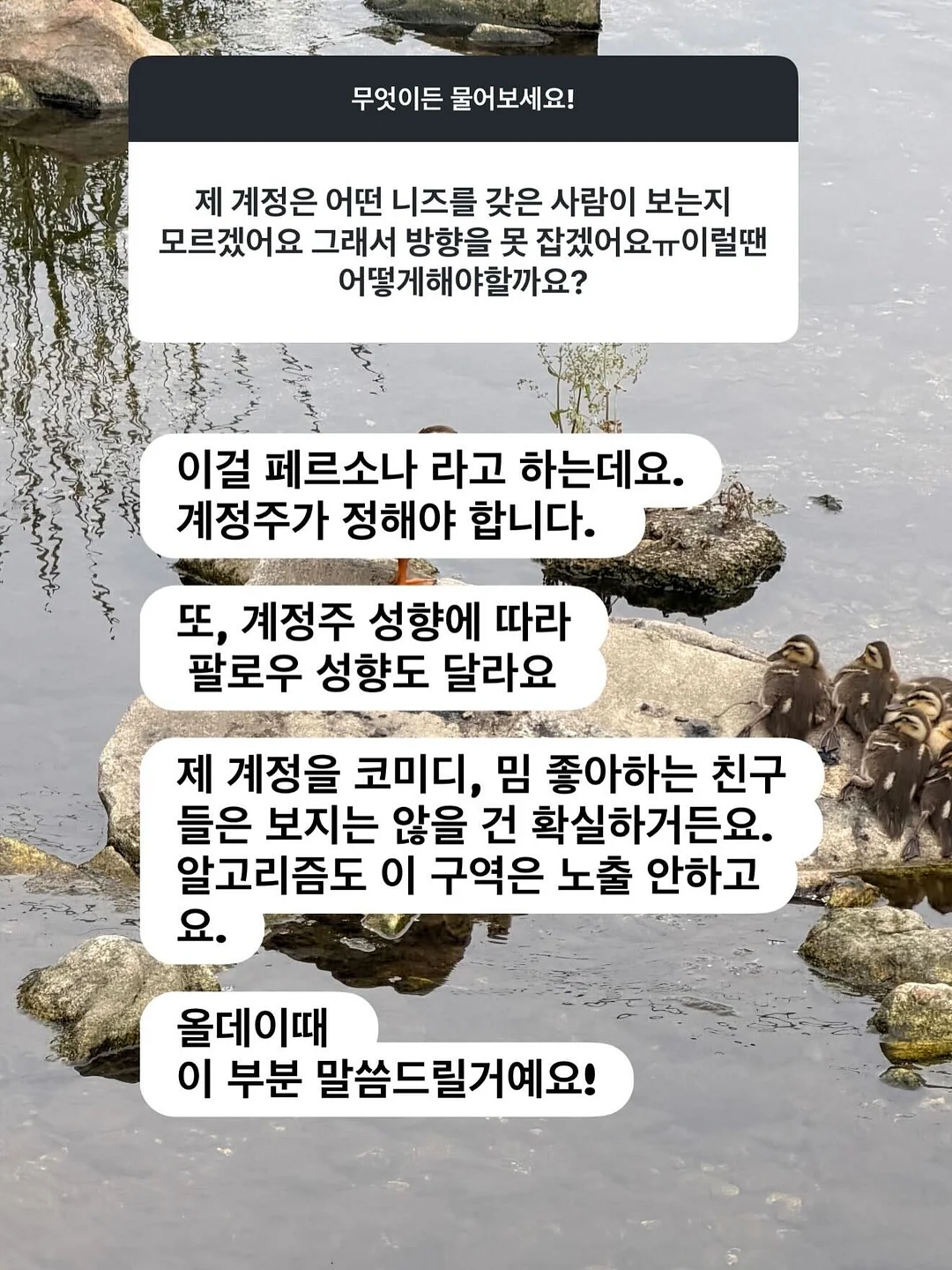 빈티지 칸타 8