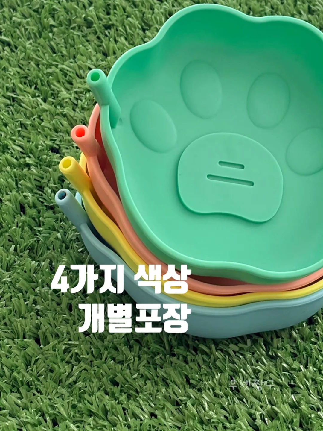 치실 12