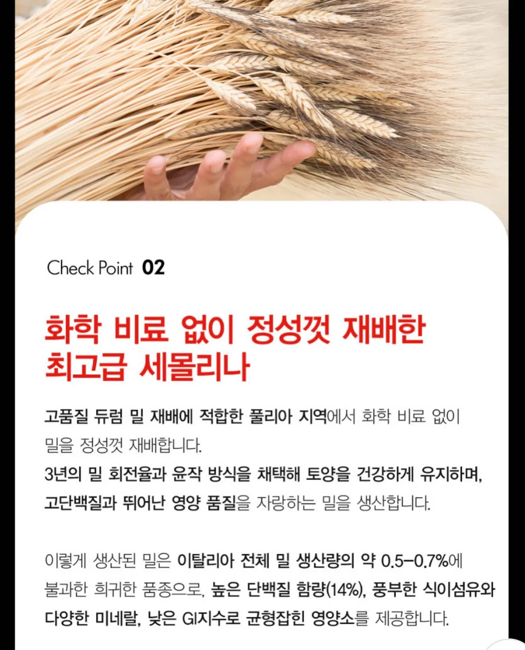 링클프리 와이드 세트 11
