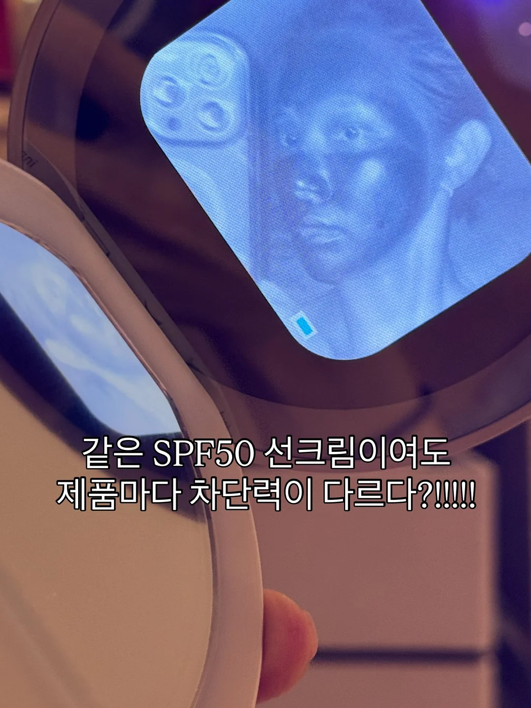 베고니아 피피플로리 1