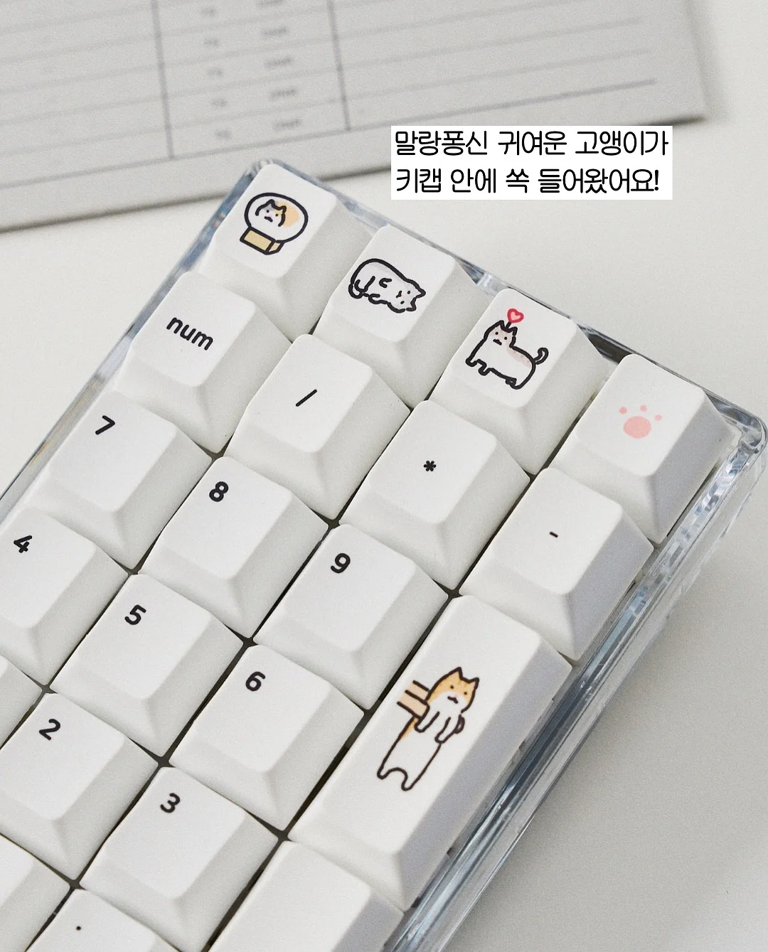 LOMA 에센셜 샴푸 1L 2통+에센셜 컨디셔너 1L 1통+우드 브러쉬 1개+쇼핑백 2매 2