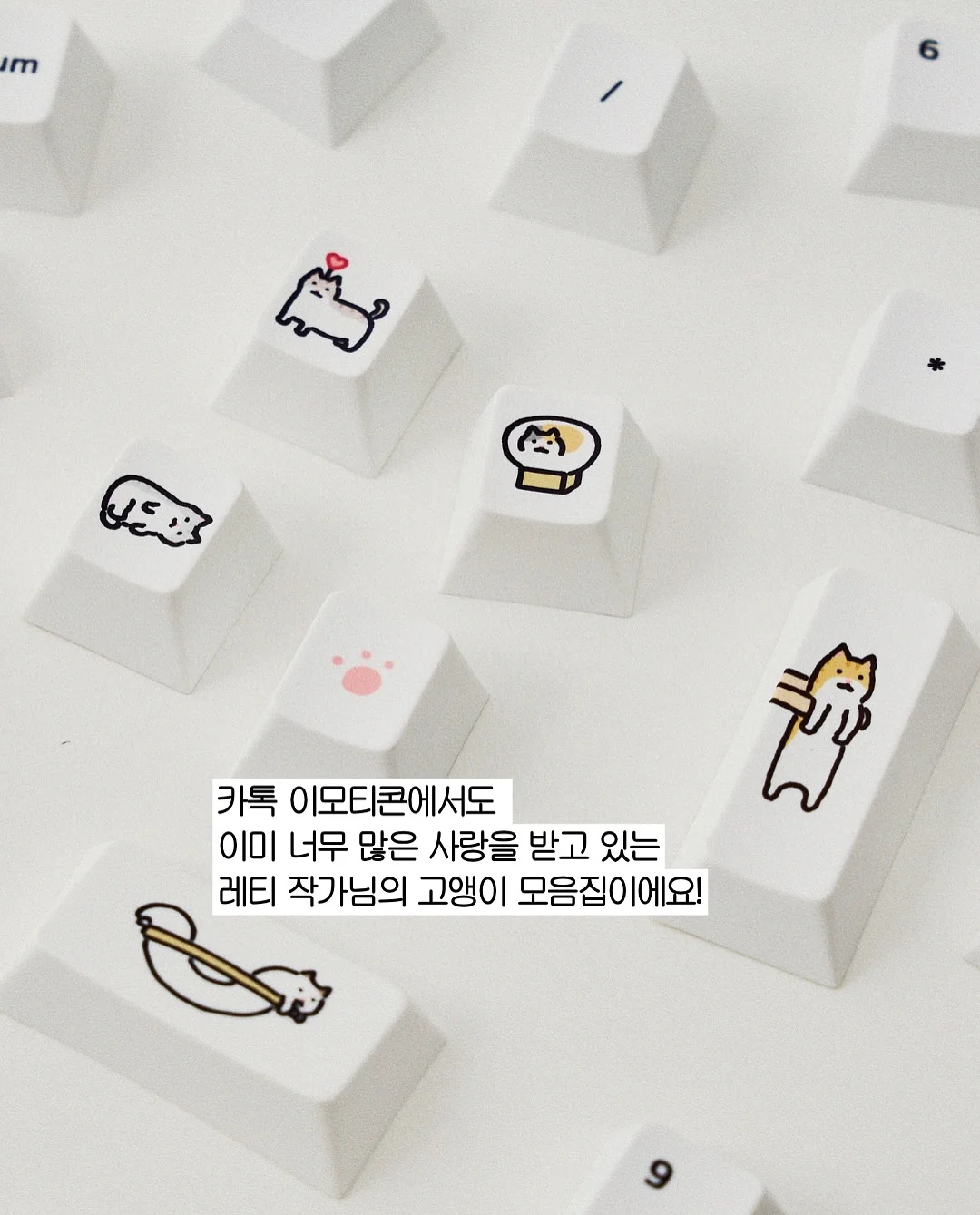 LOMA 에센셜 샴푸 1L 2통+에센셜 컨디셔너 1L 1통+우드 브러쉬 1개+쇼핑백 2매 3