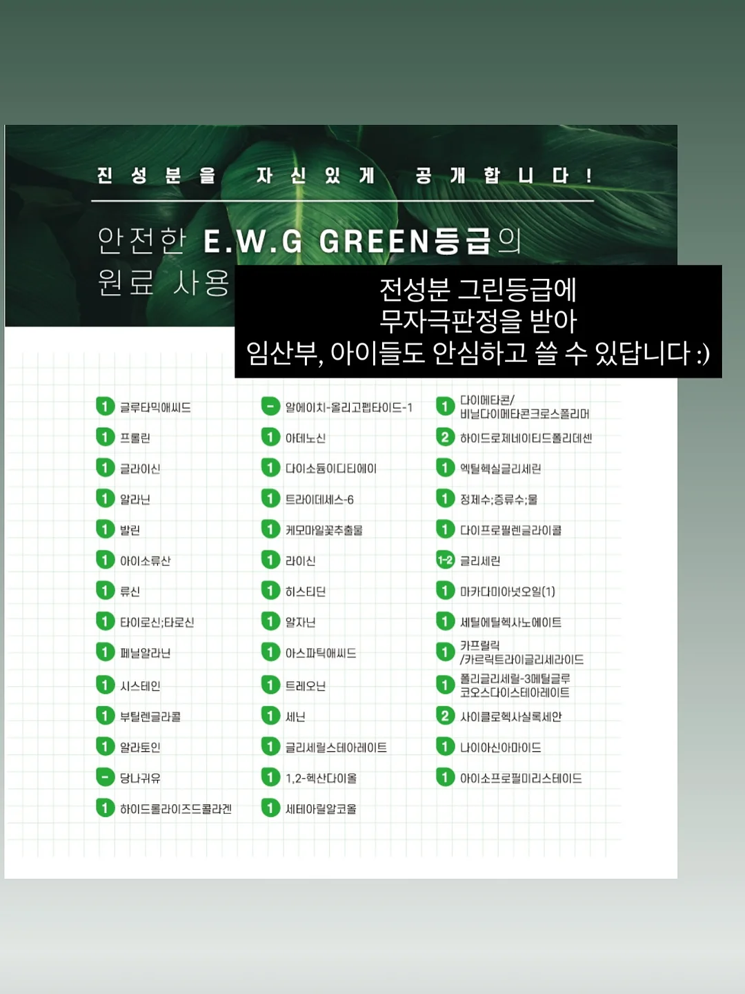 꼼데가르송 반팔 카라티 4