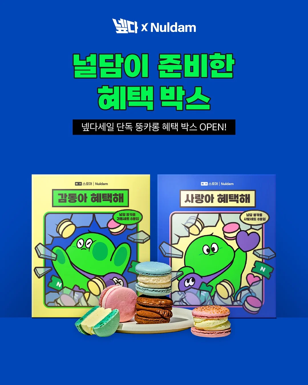 디모 네임스티커 1
