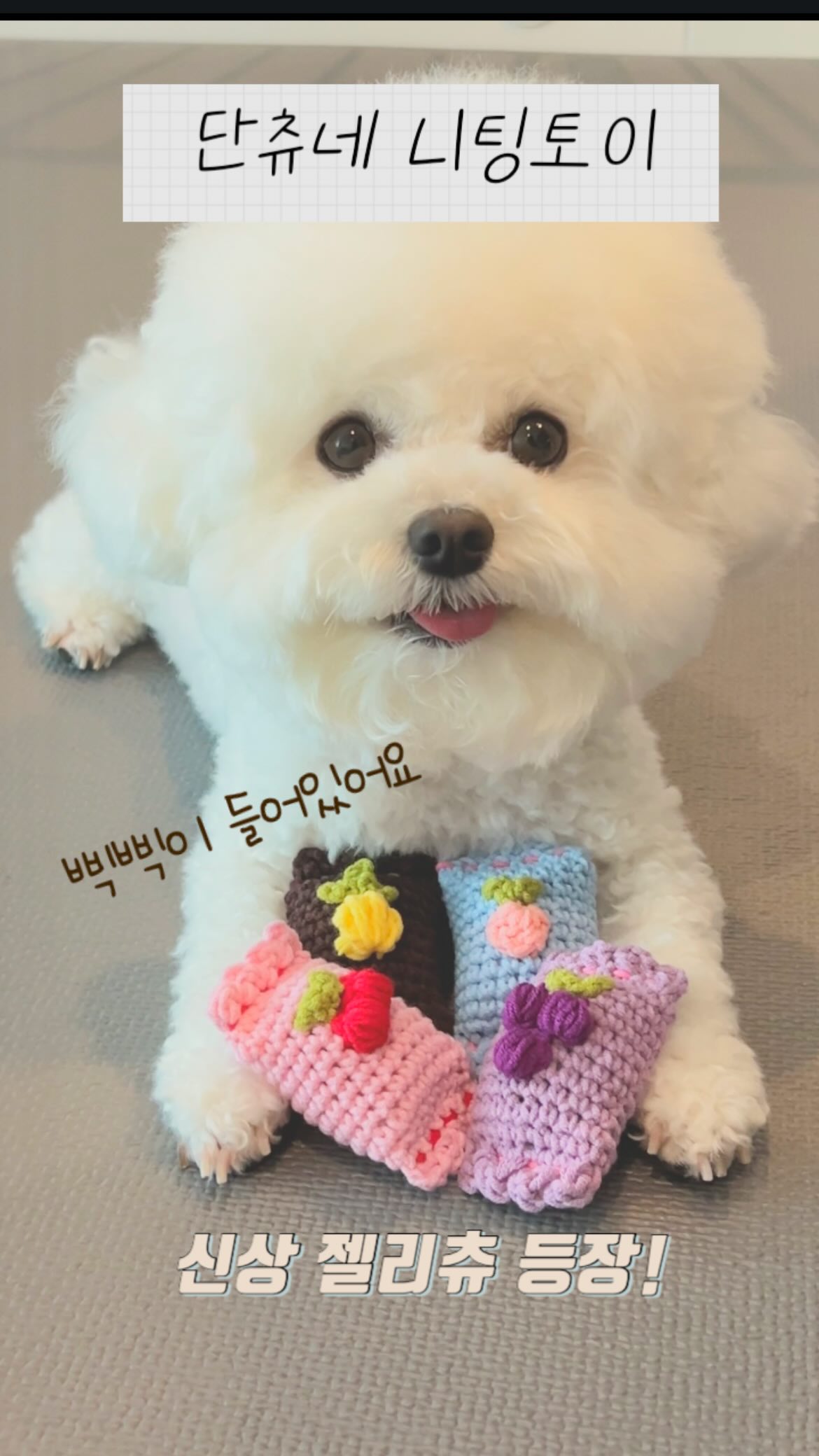 손상모 집중 케어 세럼 조합