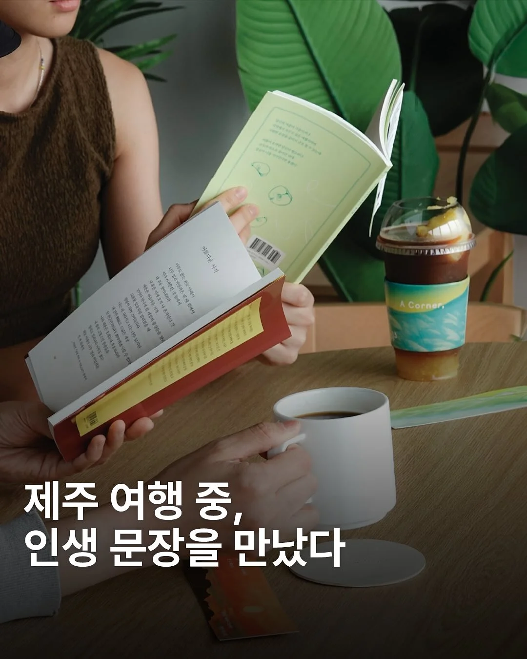티타몬드 퀸 1