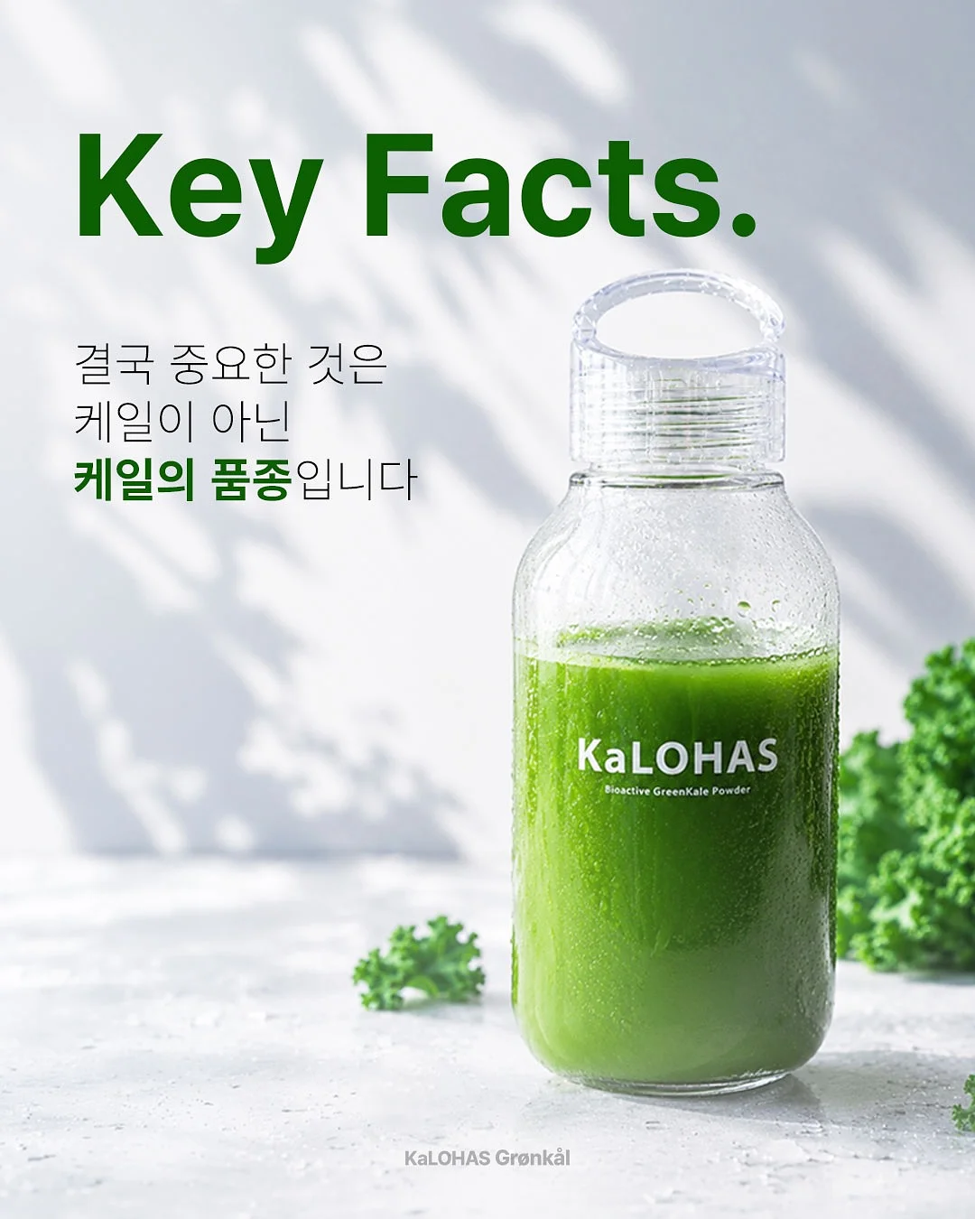 붓기캔디 11