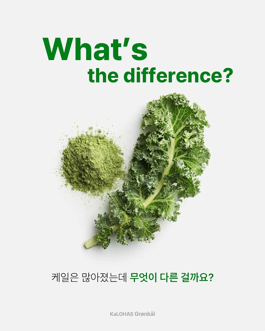 붓기캔디 2