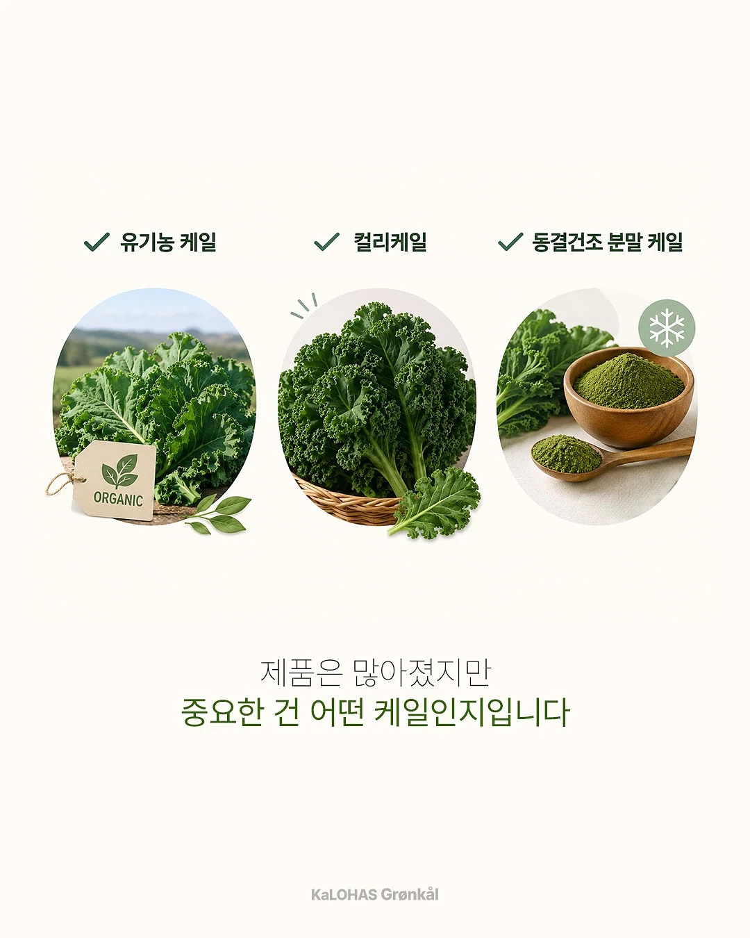 붓기캔디 3