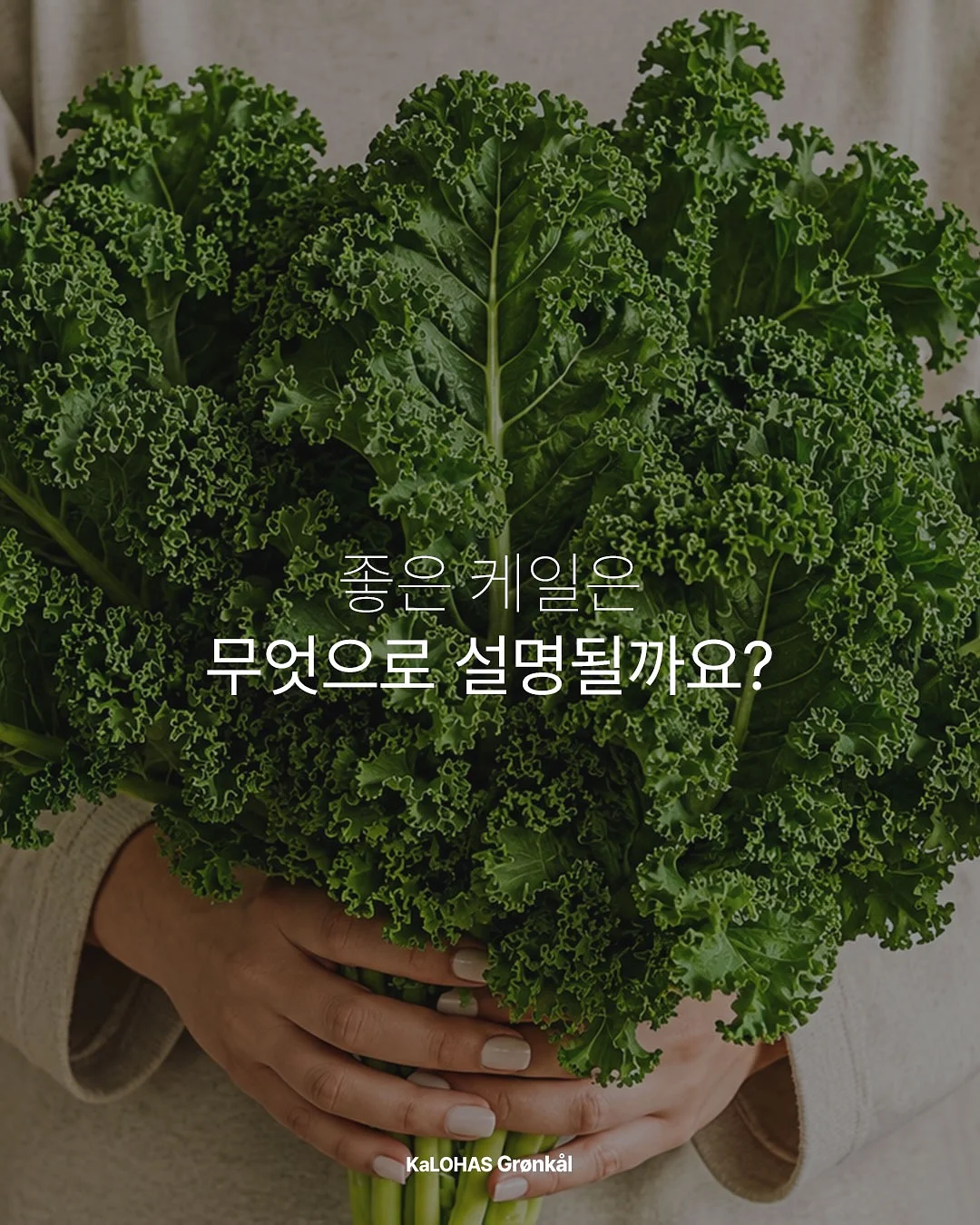 붓기캔디 4