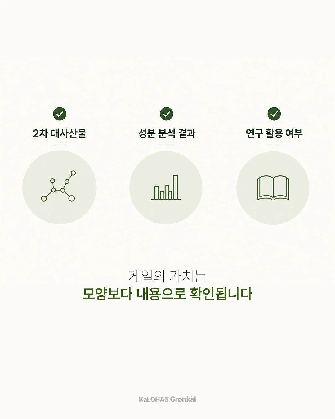 붓기캔디 7