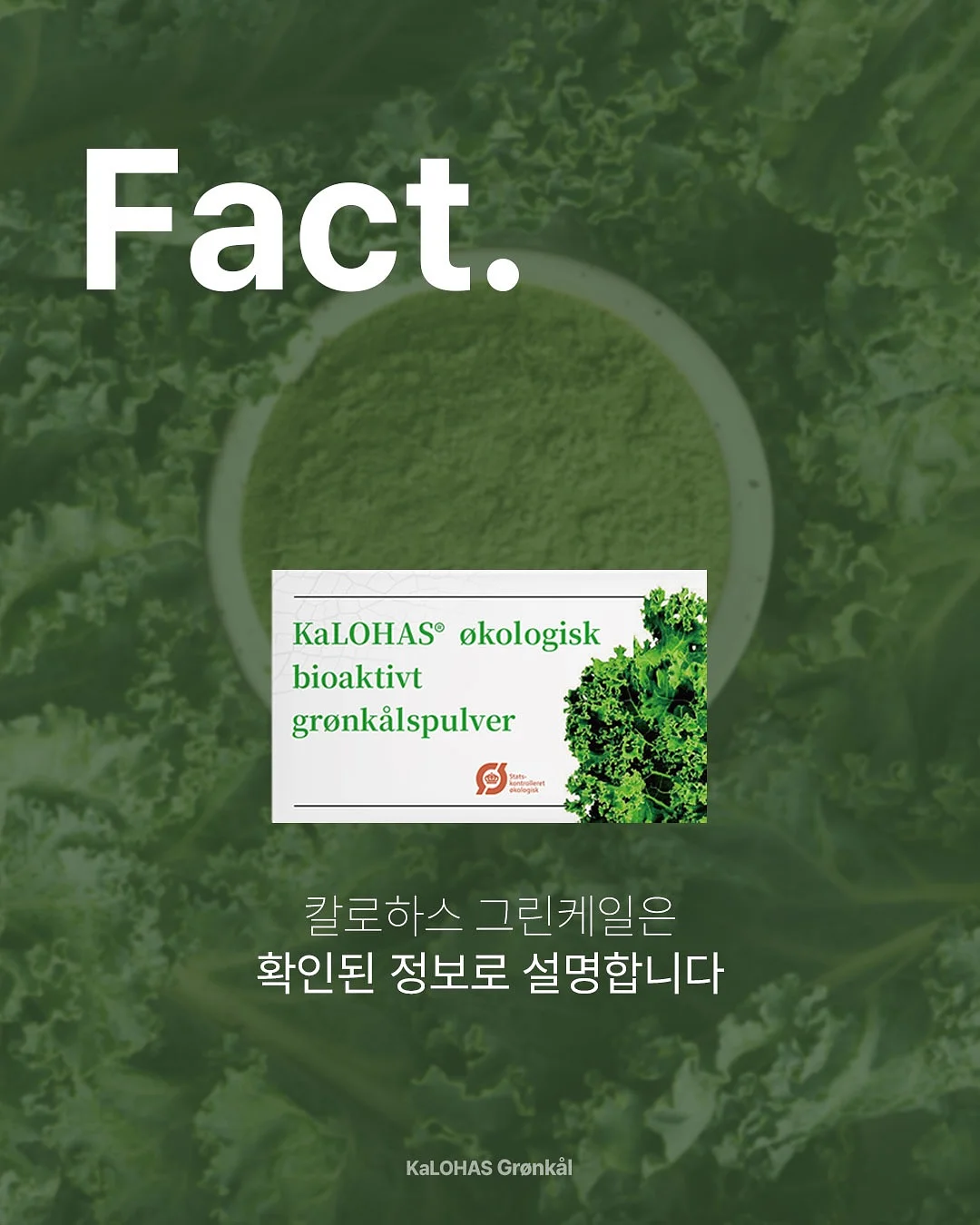 붓기캔디 8