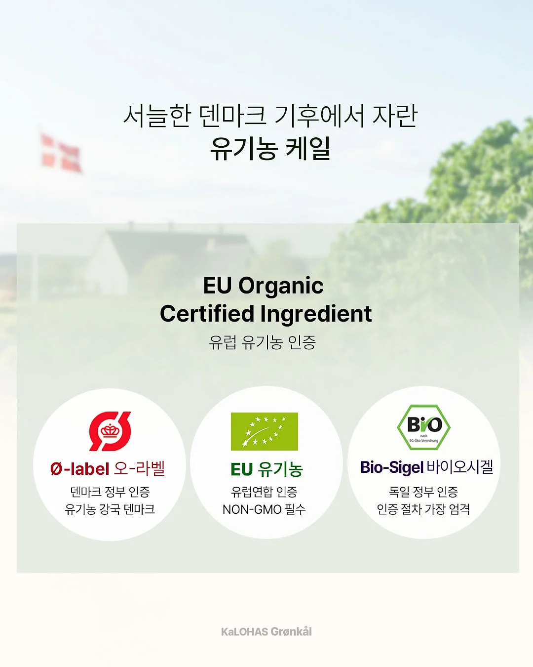 붓기캔디 9