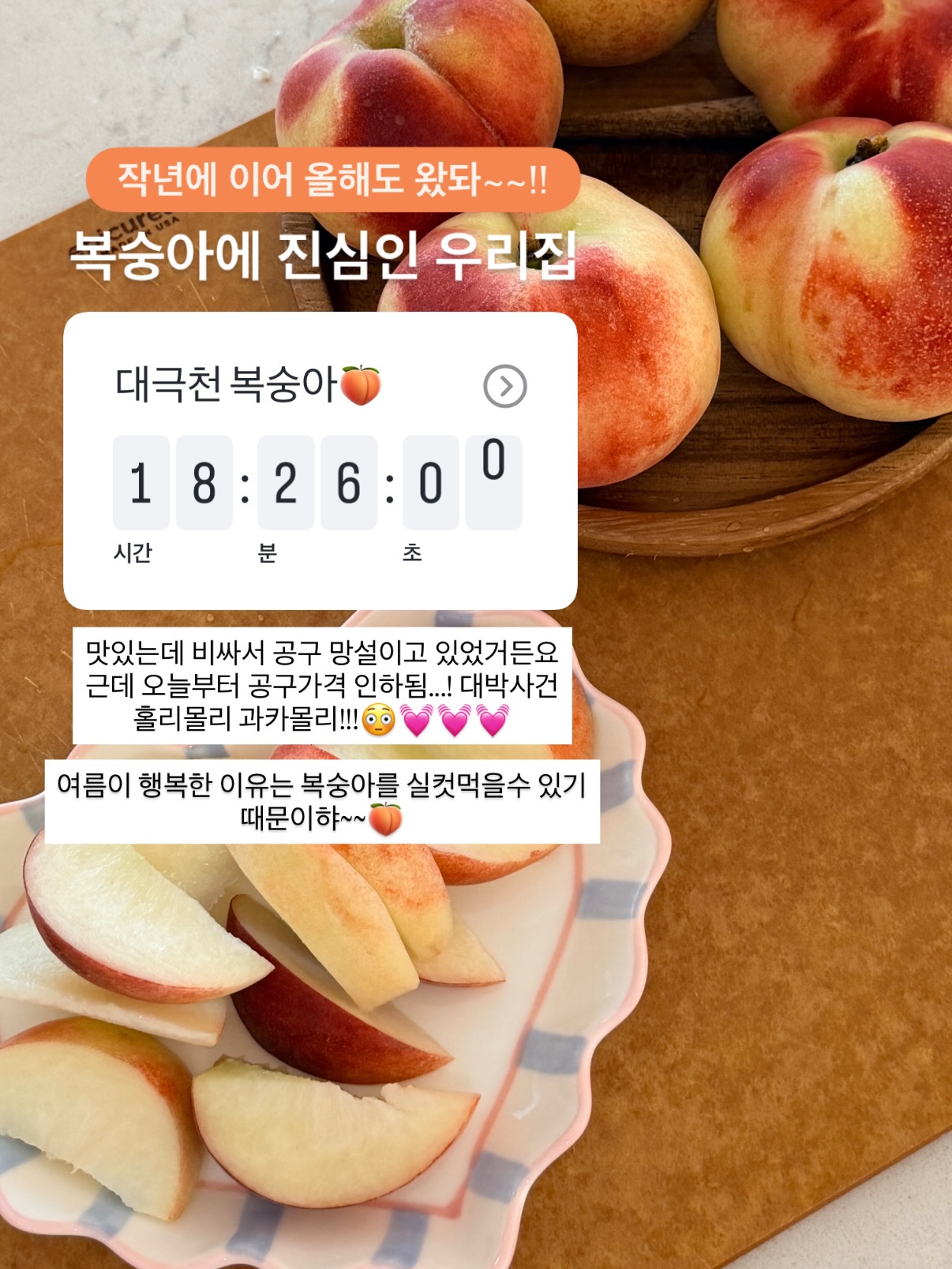 핀 디렉터 세미나 과정 2