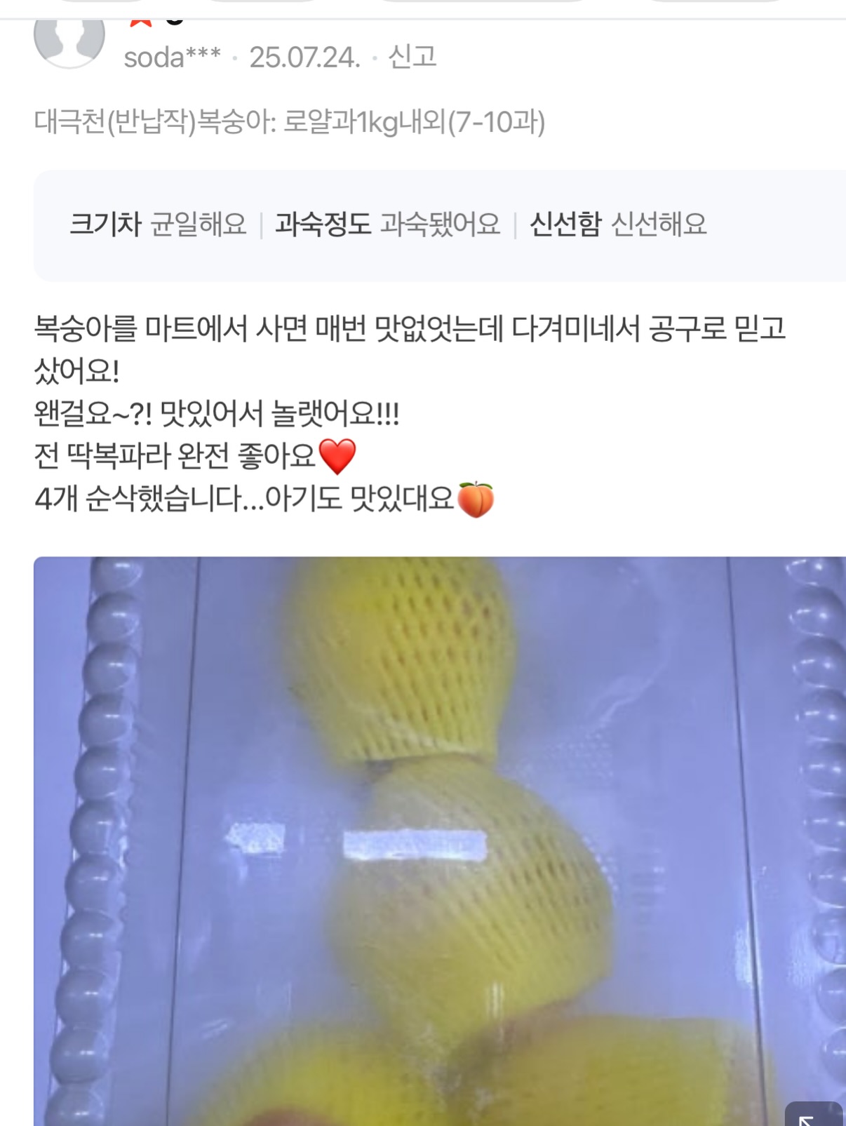 핀 디렉터 세미나 과정 13