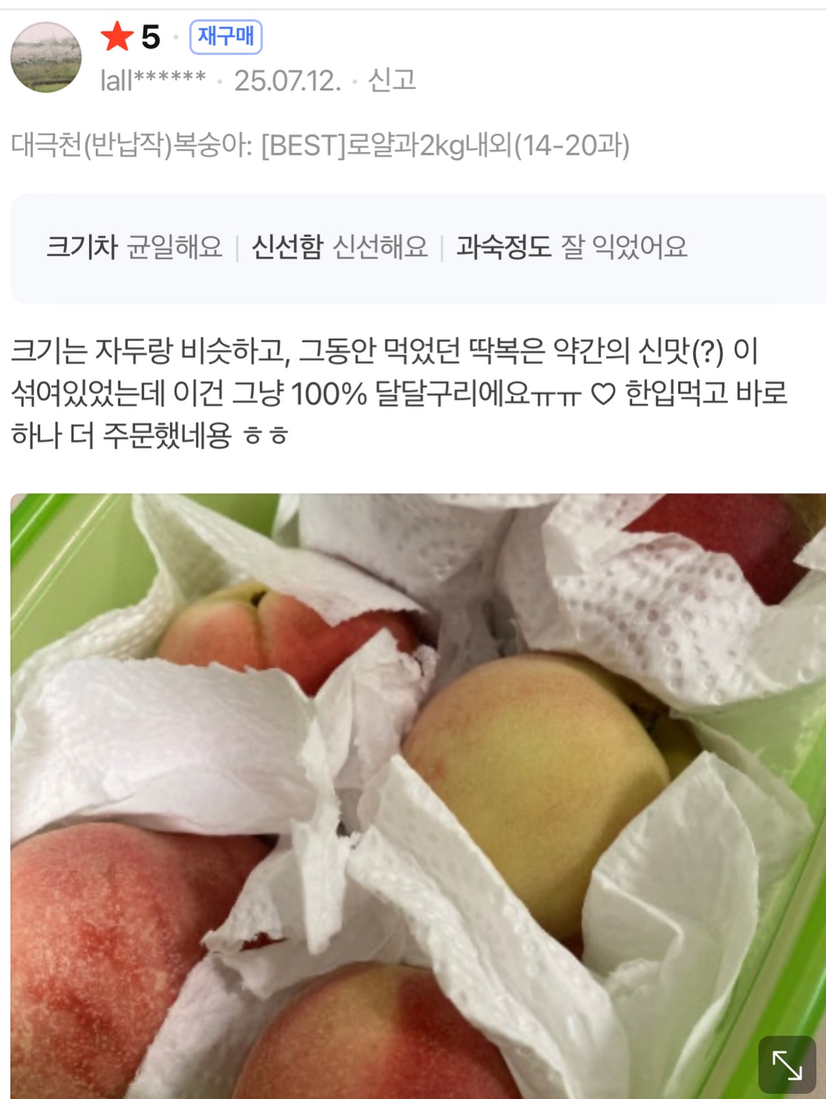 핀 디렉터 세미나 과정 14