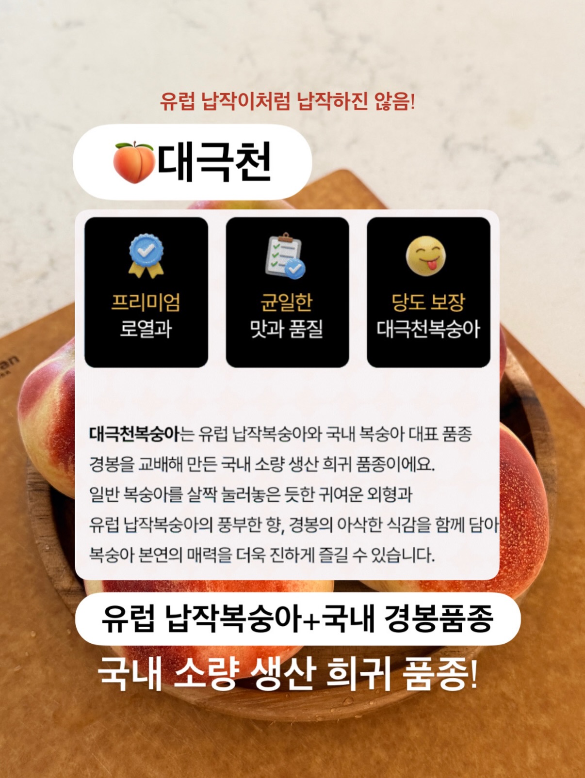 핀 디렉터 세미나 과정 3