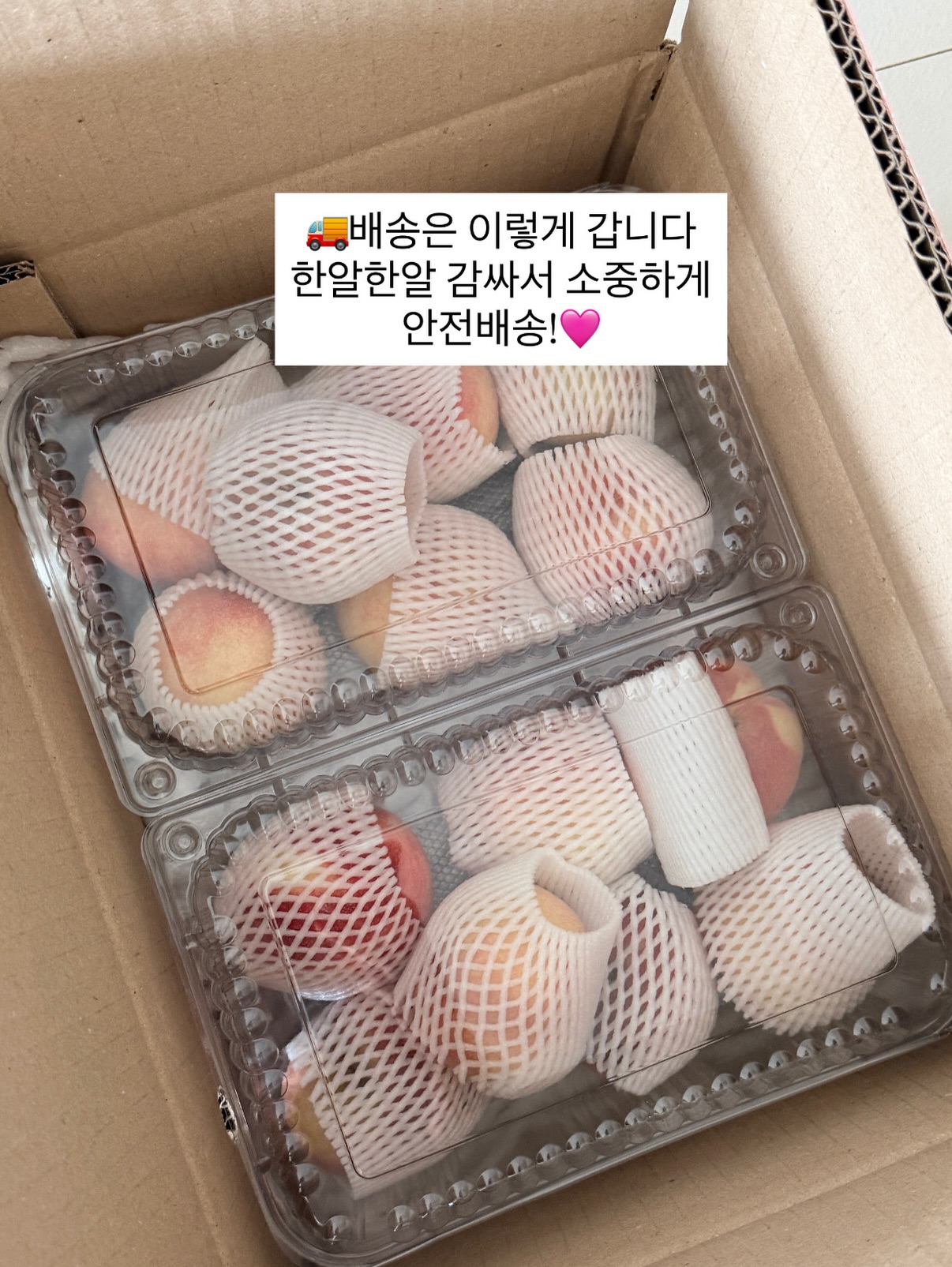 핀 디렉터 세미나 과정 4