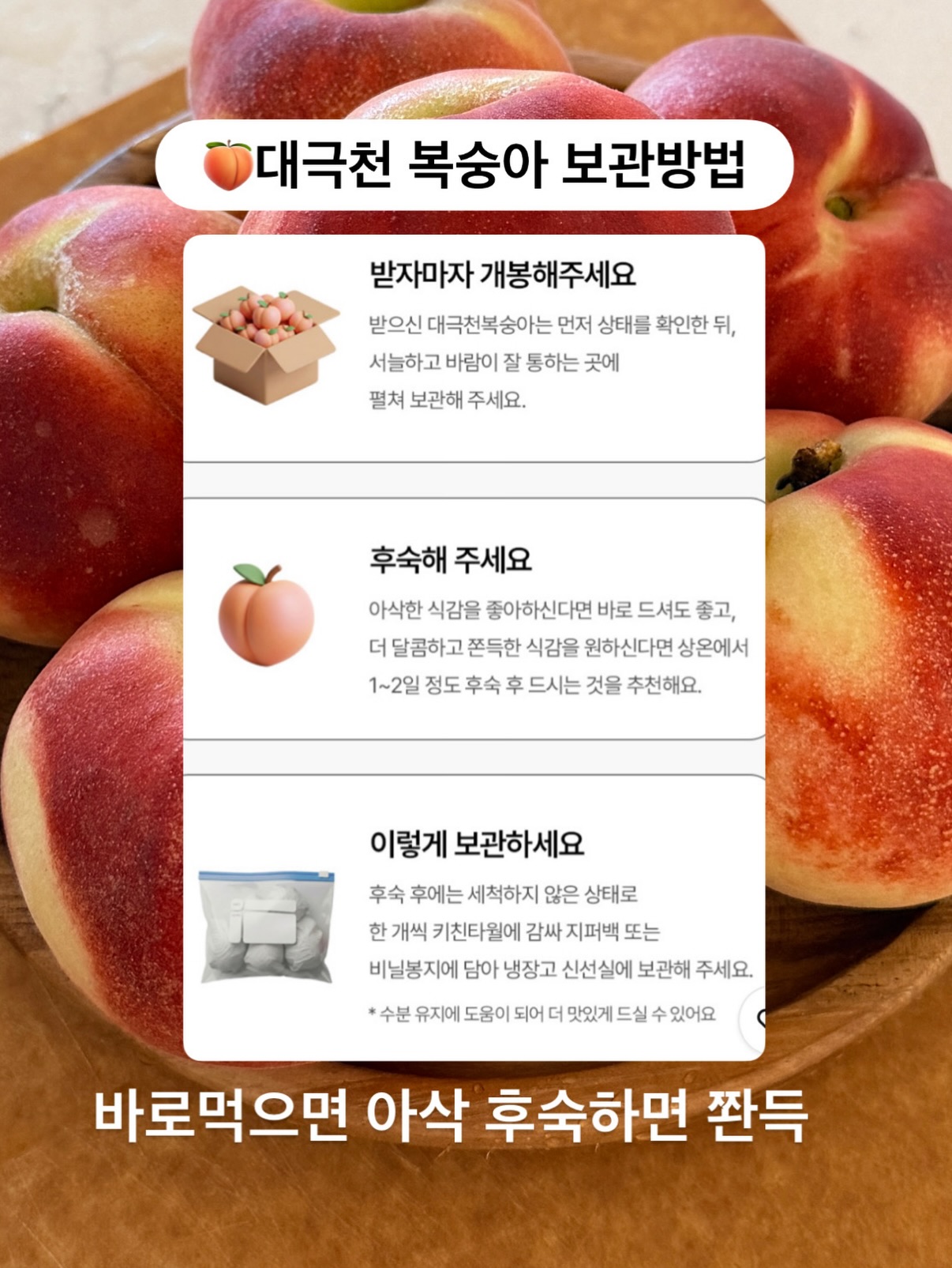 핀 디렉터 세미나 과정 5