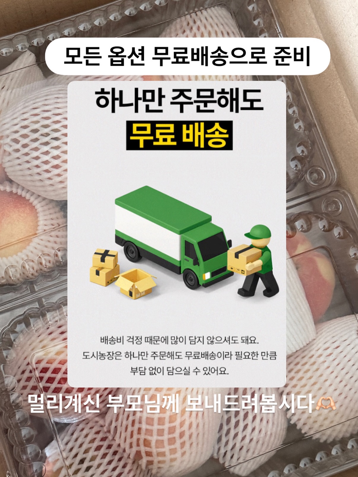 핀 디렉터 세미나 과정 6